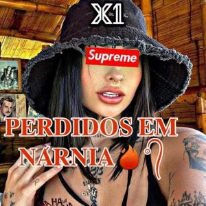 Imagem do grupo ꦿ𝐏𝐄𝐑𝐃𝐈𝐃𝐎𝐒 𝐄𝐌 𝐍𝐀́𝐑𝐍𝐈𝐀 🔥° ᭄