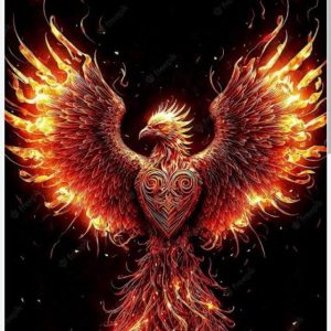Equipe fenix 1 Imagem do grupo Equipe fenix