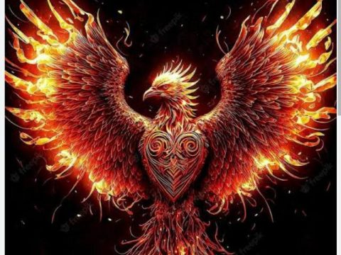 Imagem do grupo Equipe fenix