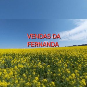 Imagem do grupo Minhas Vendas
