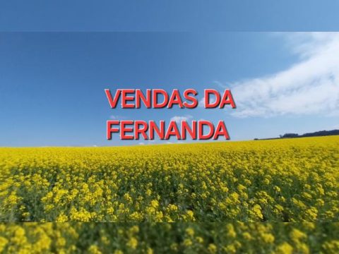 Imagem do grupo Minhas Vendas
